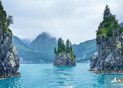 راهنمای بازدید از پارک های ملی آمریکا: گنجینه های طبیعی در انتظار شما راهنمای بازدید از پارک های ملی آمریکا: گنجینه های طبیعی در انتظار شما